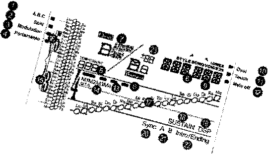 ukb/lcd15