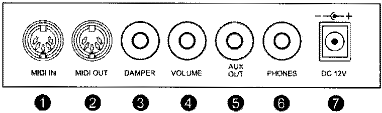 ukb/rear